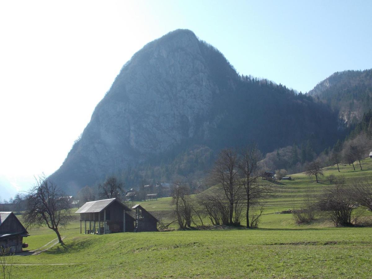Apartments Joze Pekovec Bohinj Exterior foto