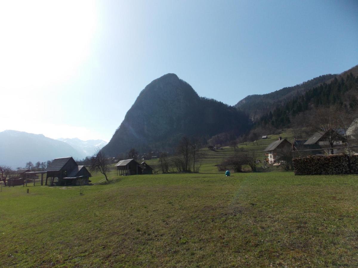 Apartments Joze Pekovec Bohinj Exterior foto